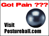 Posture Ball Website Link